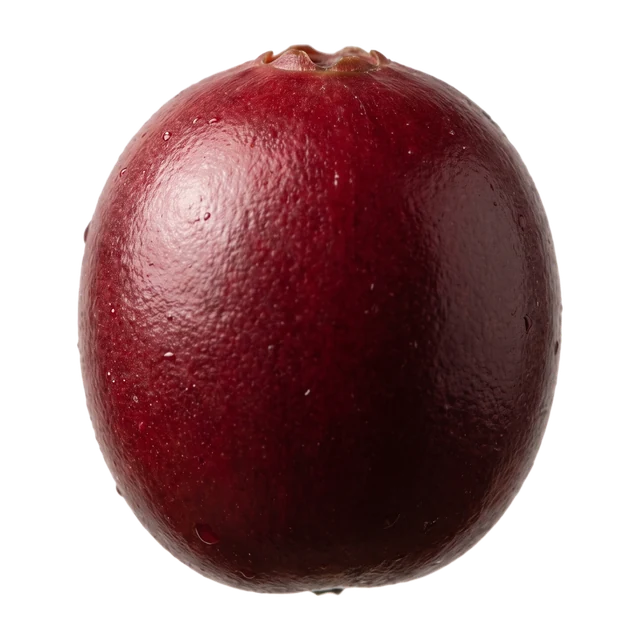 Cereza de café madura, roja y brillante